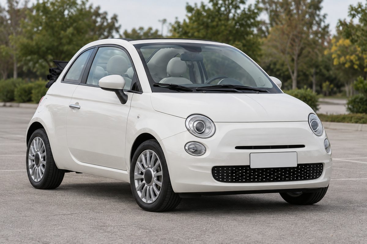 500C 참고 이미지모습
