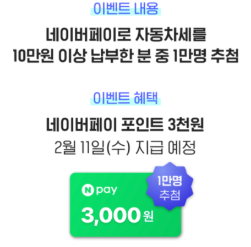 2026년 1월 자동차세 연납 카드사별 혜택 (삼성, KB, 신한, 네이버페이)